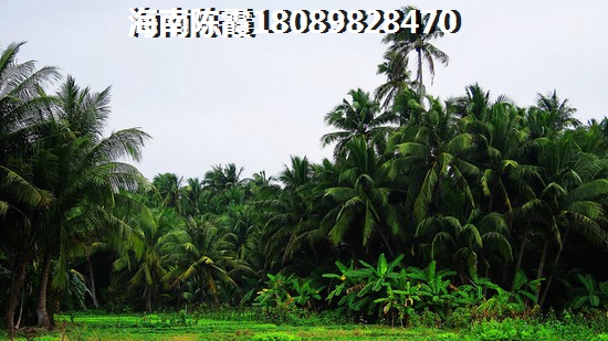 湖南配套设施有哪些？